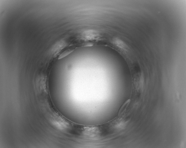 X0000053020185200508051236