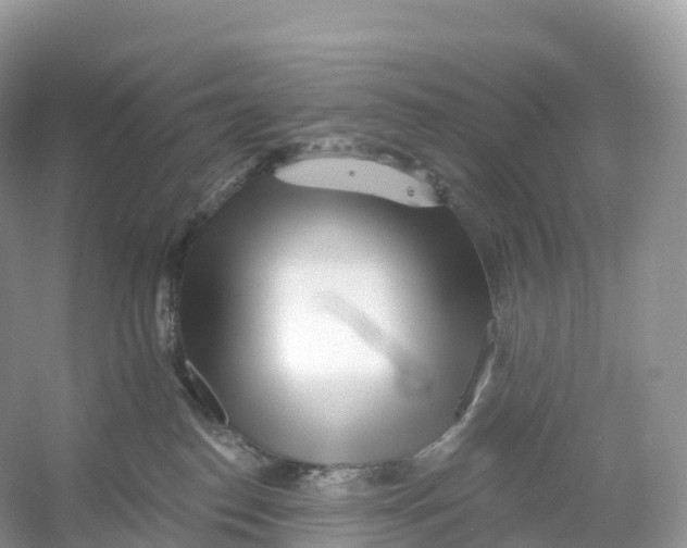 X0000053020186200508051236