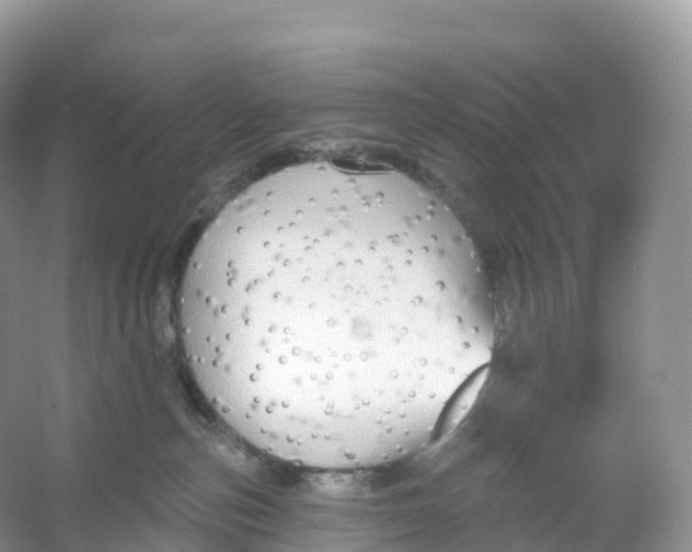X0000053020187200508051236