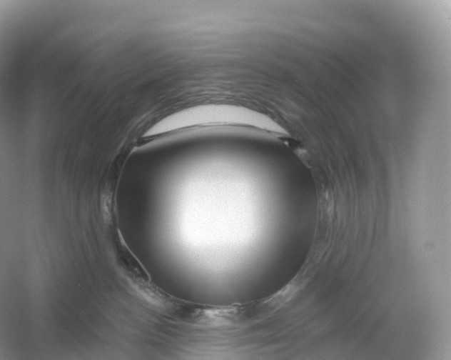 X0000053020188200508051236