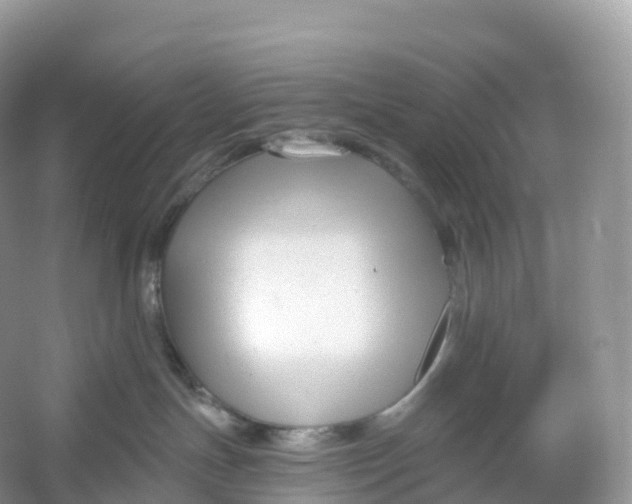 X0000053020191200508051236