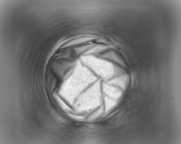X0000053020195200508051235