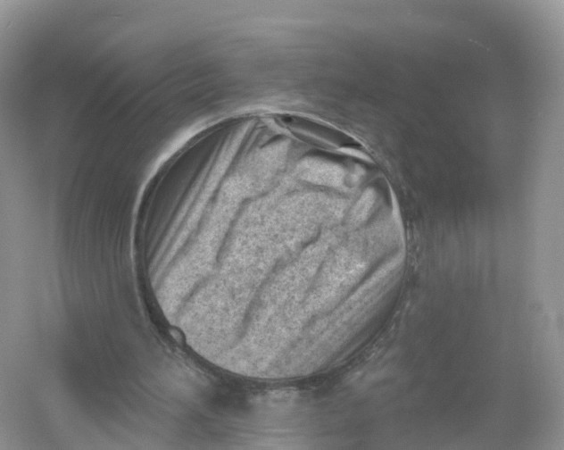 X0000053020196200508051235