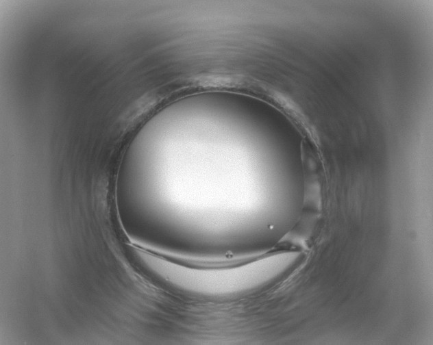 X0000053020201200508051235