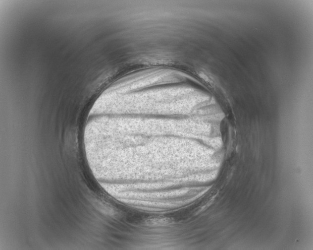 X0000053020202200508051235
