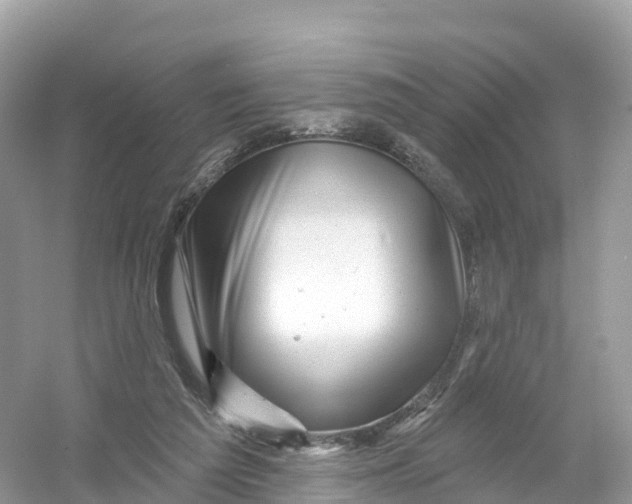 X0000053020209200508051235