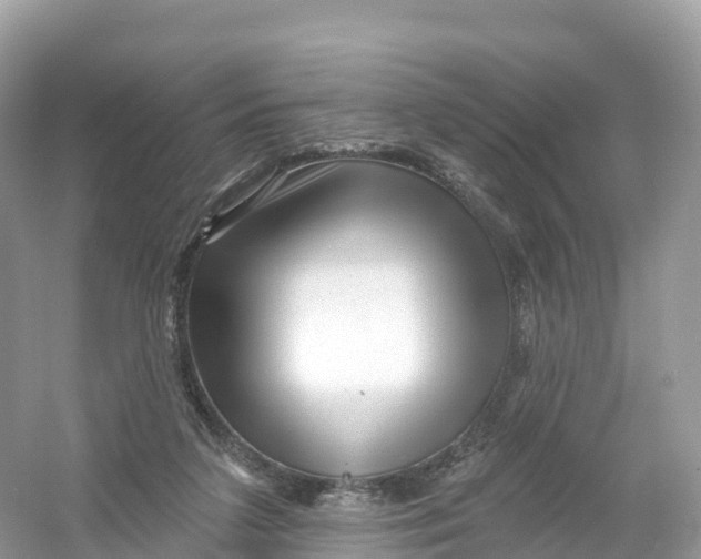 X0000053020211200508051235