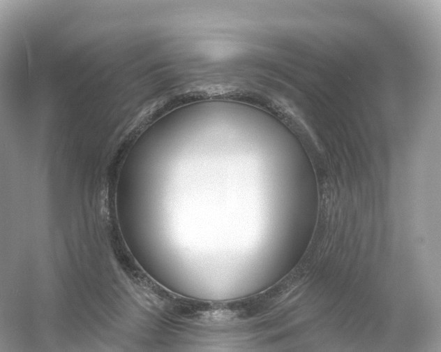 X0000053020212200508051235