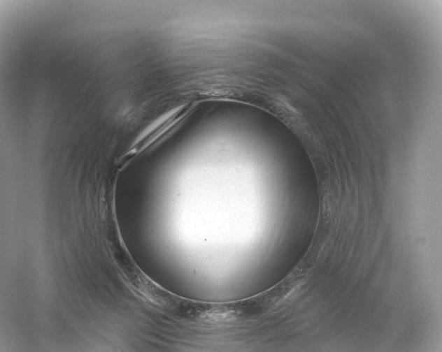 X0000053020213200508051235