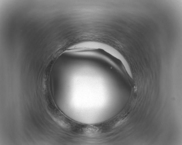 X0000053020215200508051235
