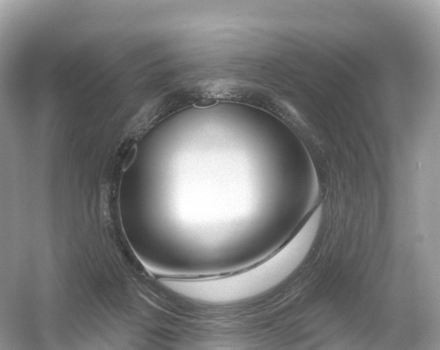 X0000053020217200508051235