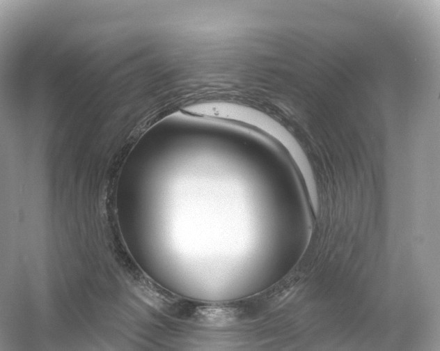 X0000053020221200508051235
