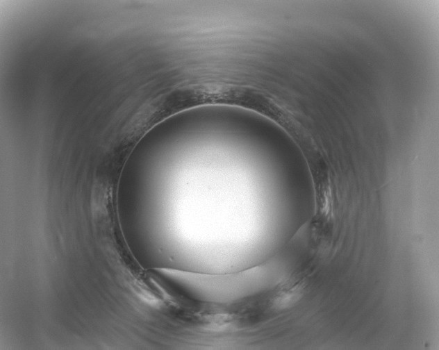 X0000053020225200508051235