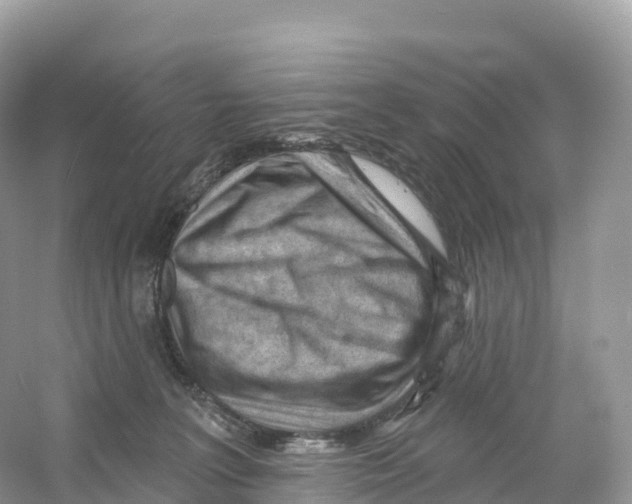 X0000053020227200508051235