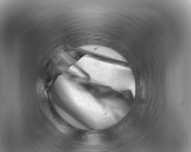 X0000053020228200508051235
