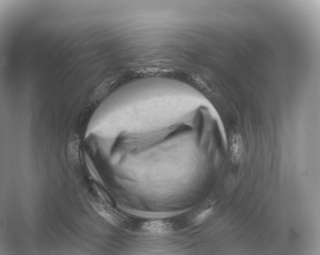 X0000053020231200508051235