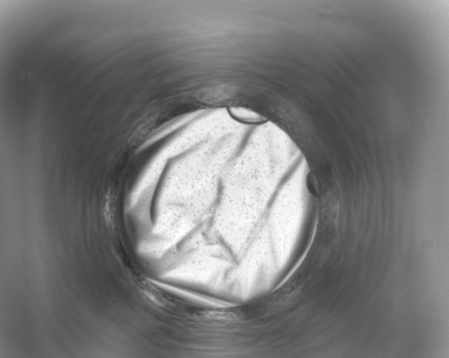 X0000053020234200508051235