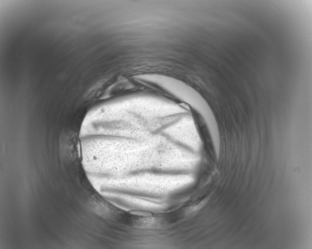 X0000053020237200508051235