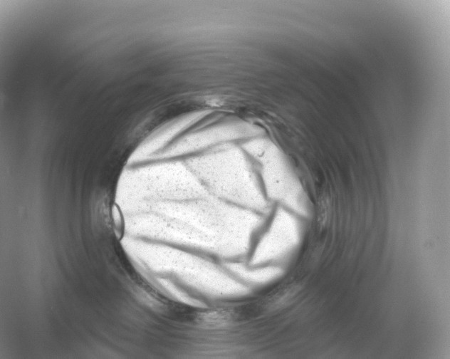 X0000053020238200508051235