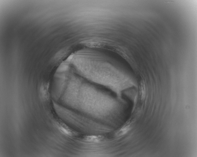 X0000053020239200508051235