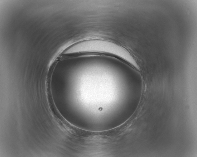 X0000053020244200508051234