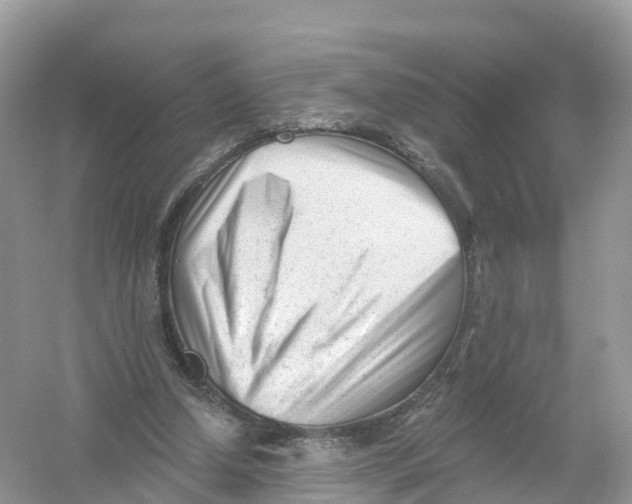 X0000053020250200508051234