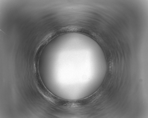 X0000053020254200508051234