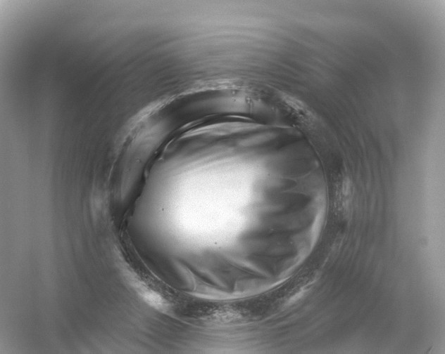 X0000053020256200508051234