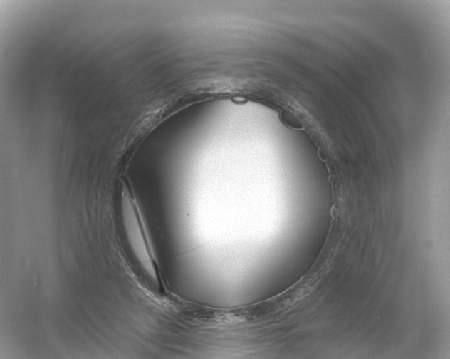 X0000053020257200508051234