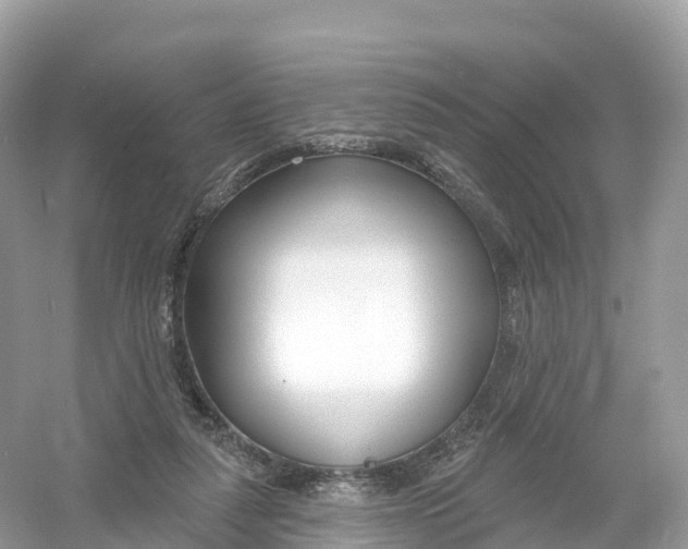 X0000053020259200508051234