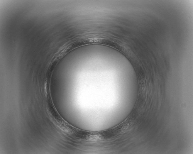 X0000053020262200508051234