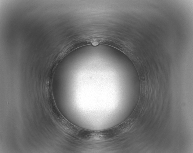 X0000053020263200508051234