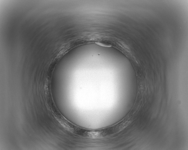 X0000053020265200508051234
