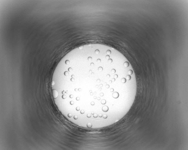 X0000053020266200508051234