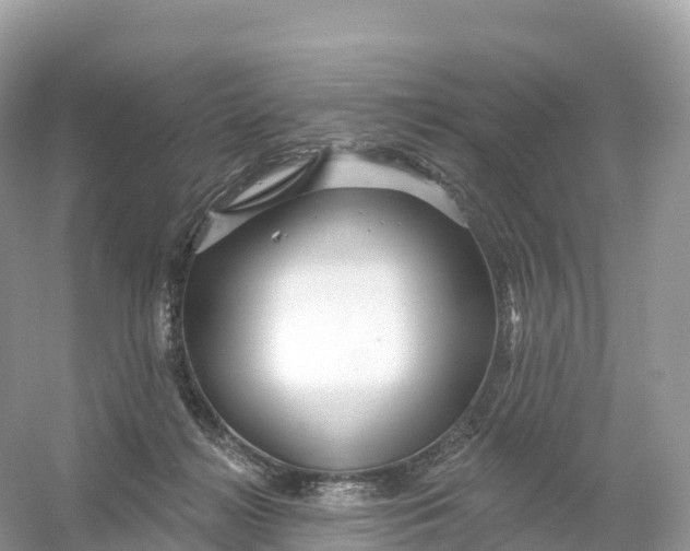 X0000053020268200508051234