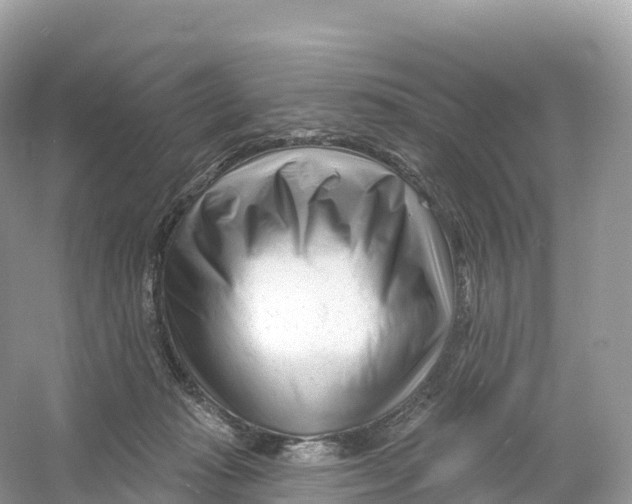 X0000053020269200508051234