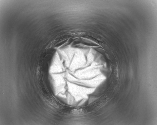X0000053020271200508051234