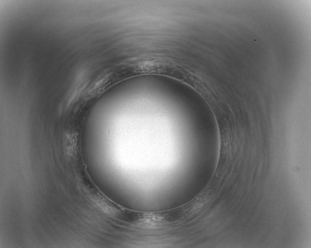 X0000053020278200508051235