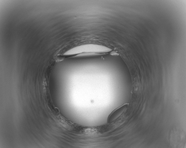 X0000053020279200508051235