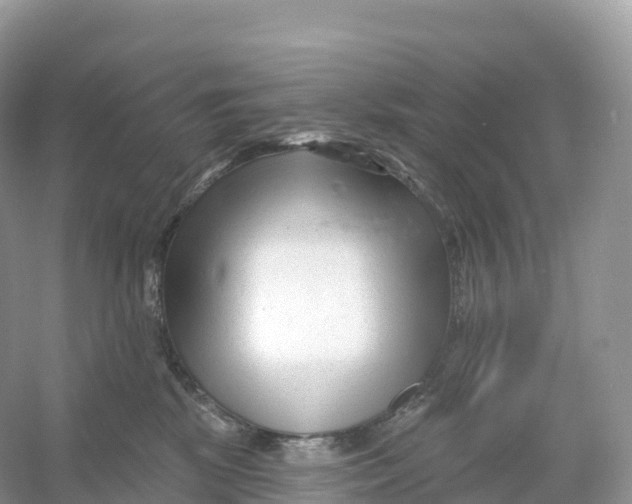 X0000053020281200508051235