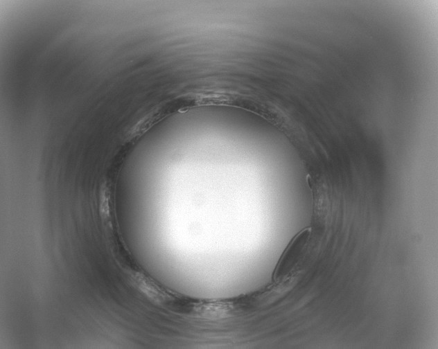X0000053020282200508051235
