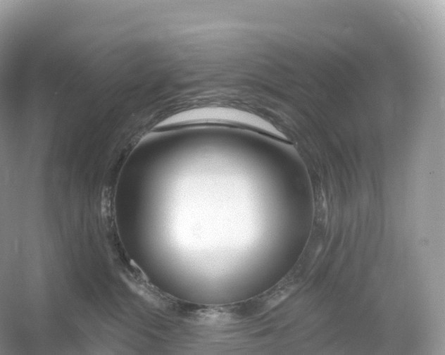 X0000053020284200508051235
