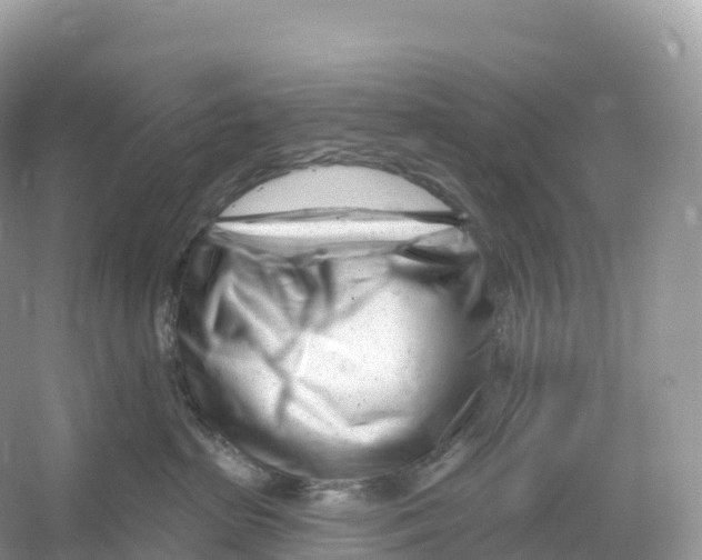 X0000053020285200508051235