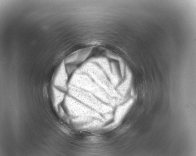 X0000053020286200508051235
