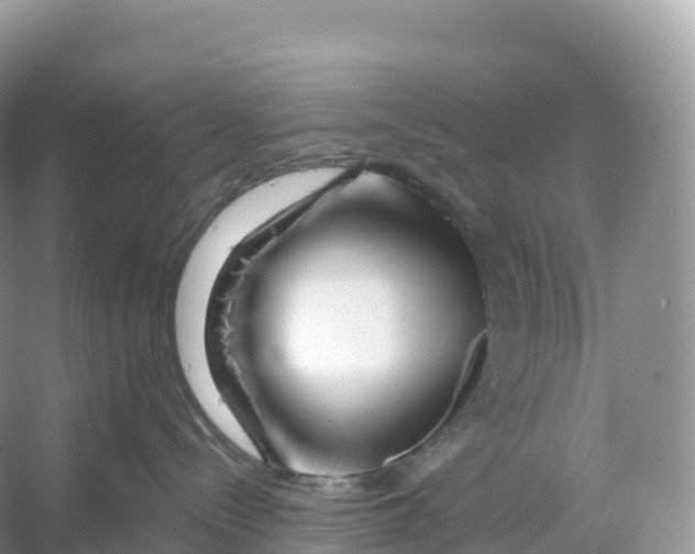 X0000053020288200508051235
