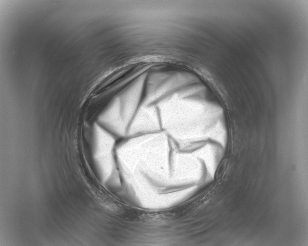 X0000053020297200508051234
