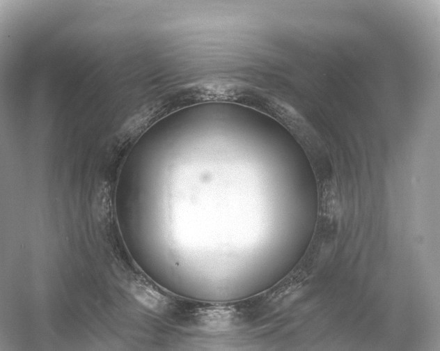 X0000053020318200508051233