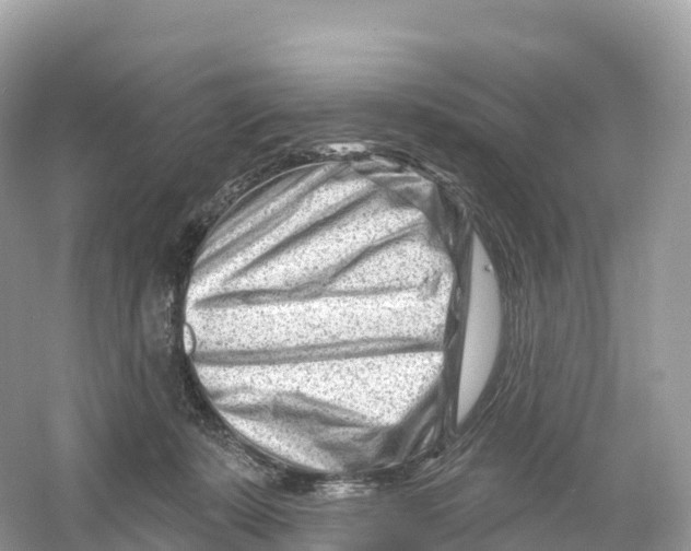 X0000053020319200508051233