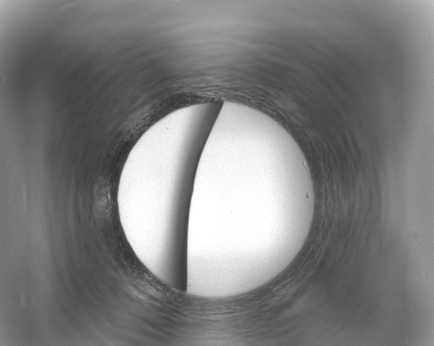 X0000053020320200508051233