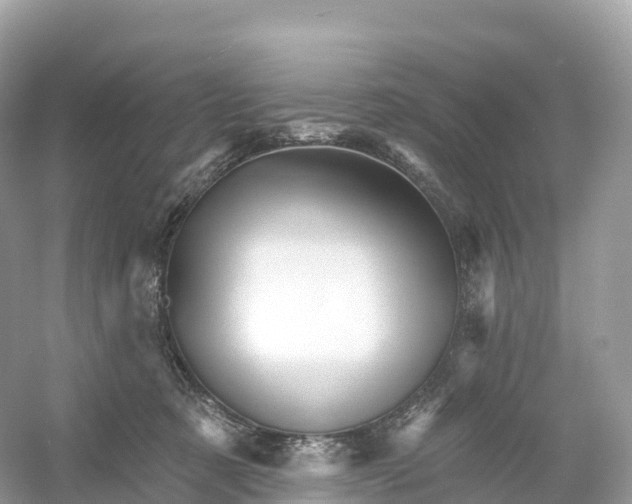 X0000053020321200508051233